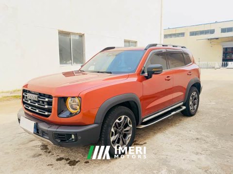 2021 Great Wall Dachshund 2.0T DCT Four-Wheel Drive Chinese Rural Dog Edition - ავტომობილი ჩინეთიდან
