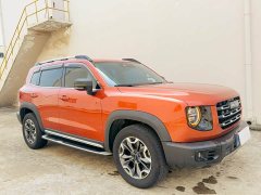 Great Wall Dachshund 2.0T DCT Four-Wheel Drive Chinese Rural Dog Edition - ფოტო 3