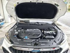 Changan Oushan X5 2021 1.5T DCT Premier - ფოტო 19