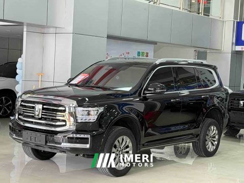 2025 Tank 500 New Energy 2024 Hi4-T - ავტომობილი ჩინეთიდან