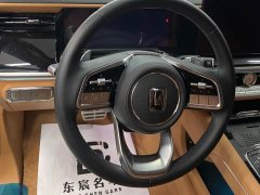 Tank 500 New Energy 2024 Hi4-T - ფოტო 20