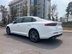 Geely Xingrui 2.0T Diesel Premium Edition - ფოტო 10