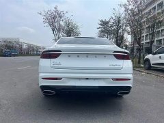 Geely Xingrui 2.0T Diesel Premium Edition - ფოტო 11
