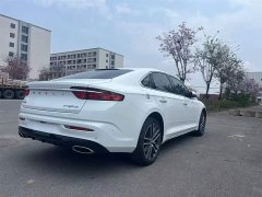 Geely Xingrui 2.0T Diesel Premium Edition - ფოტო 12