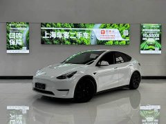 Tesla Model Y Long Range All-Wheel Drive - ფოტო 1