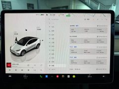 Tesla Model Y Long Range All-Wheel Drive - ფოტო 10