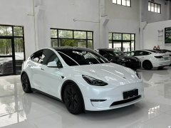Tesla Model Y Long Range All-Wheel Drive - ფოტო 2