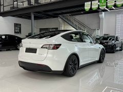 Tesla Model Y Long Range All-Wheel Drive - ფოტო 7