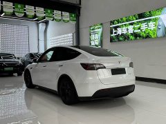 Tesla Model Y Long Range All-Wheel Drive - ფოტო 9