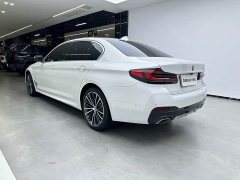 BMW 5 Series 530Li Premier M Sport Package - ფოტო 19