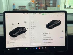 Tesla Model 3 Rear-Wheel Drive - ფოტო 7