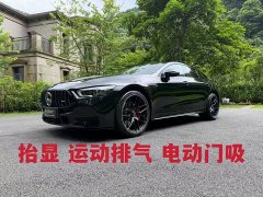Mercedes-Benz AMG GT 2026 AMG GT 50 Four-Door Coupe China Special Edition - ფოტო 1