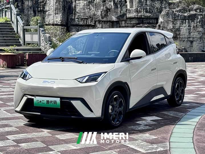 BYD Seagull 2025 305km Freedom Edition - ავტომობილი ჩინეთიდან