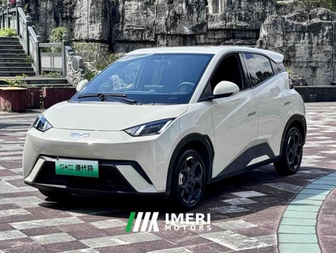 2024 BYD Seagull 2025 305km Freedom Edition - ავტომობილი ჩინეთიდან