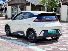 BYD Seagull 2025 305km Freedom Edition - ფოტო 13