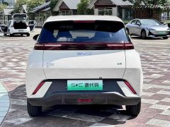BYD Seagull 2025 305km Freedom Edition - ფოტო 14