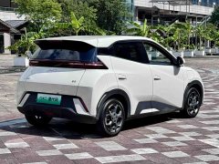 BYD Seagull 2025 305km Freedom Edition - ფოტო 17