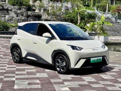 BYD Seagull 2025 305km Freedom Edition - ფოტო 2