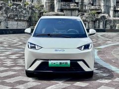 BYD Seagull 2025 305km Freedom Edition - ფოტო 3