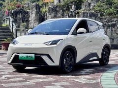 BYD Seagull 2025 305km Freedom Edition - ფოტო 4