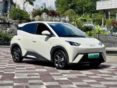 BYD Seagull 2025 305km Freedom Edition - ფოტო 5