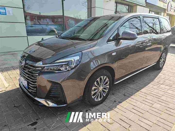 Buick GL8 Land Official Business Class 652T Comfort Edition