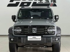 Tank 300 2025 2.0T Gasoline Conqueror - ფოტო 2
