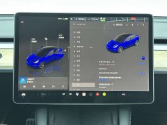 Tesla Model 3 Performance All-Wheel Drive - ფოტო 16