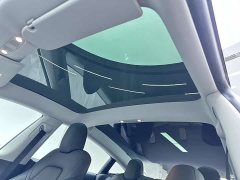 Tesla Model 3 Performance All-Wheel Drive - ფოტო 18