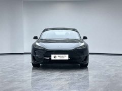 Tesla Model 3 Performance All-Wheel Drive - ფოტო 7