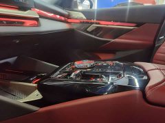 BMW 5 Series 530Li Luxury M Sport Package - ფოტო 13