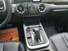 Tank 300 Off-Road Edition 2.0T Conqueror - ფოტო 16