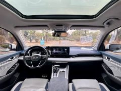Geely Xingrui 2.0T Diesel Flagship - ფოტო 11