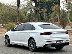 Geely Xingrui 2.0T Diesel Flagship - ფოტო 4