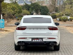 Geely Xingrui 2.0T Diesel Flagship - ფოტო 5