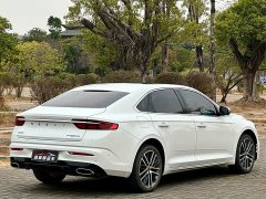 Geely Xingrui 2.0T Diesel Flagship - ფოტო 6