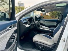 Geely Xingrui 2.0T Diesel Flagship - ფოტო 8
