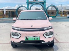 Dongfeng Nano BOX 2022 Chasing Wind Edition 331KM Advanced Type - ფოტო 2