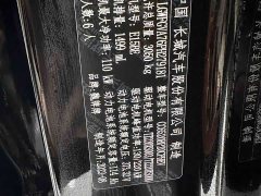 Great Wall WEY Blue Mountain Four-Wheel Drive Extended Range Version - ფოტო 17