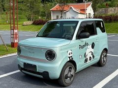 Geely Panda Mini 200km Happy Duck Limited Edition - ფოტო 1