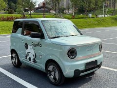 Geely Panda Mini 200km Happy Duck Limited Edition - ფოტო 3