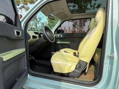 Geely Panda Mini 200km Happy Duck Limited Edition - ფოტო 4