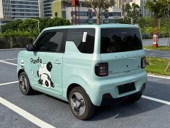Geely Panda Mini 200km Happy Duck Limited Edition - ფოტო 7