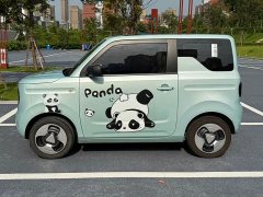 Geely Panda Mini 200km Happy Duck Limited Edition - ფოტო 8