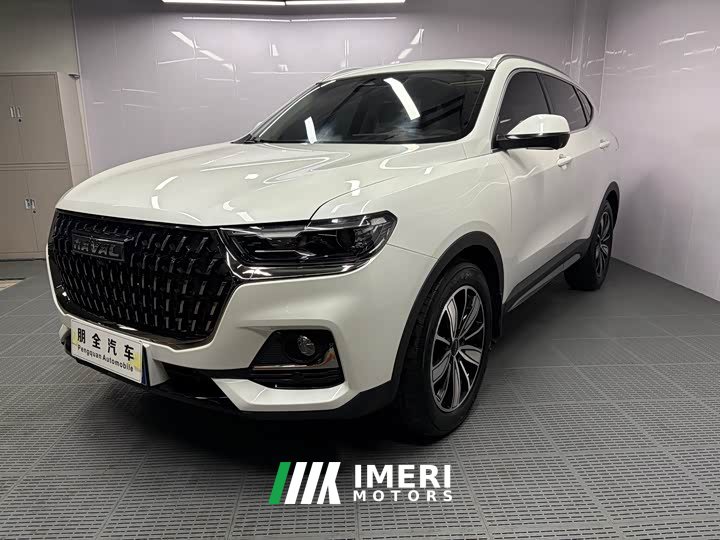Haval H6 National Trend Edition 1.5T Automatic Champion Version - ავტომობილი ჩინეთიდან