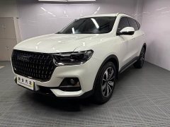 Haval H6 National Trend Edition 1.5T Automatic Champion Version - ფოტო 1