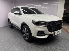 Haval H6 National Trend Edition 1.5T Automatic Champion Version - ფოტო 3