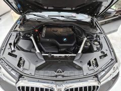 BMW 5 Series 2021 530Li Luxury Edition Premium Package - ფოტო 13