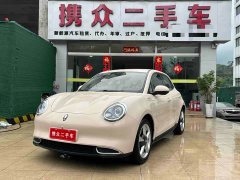ORA Good Cat Morandis 400km Standard Range Luxury Ternary Lithium - ფოტო 1