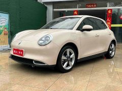ORA Good Cat Morandis 400km Standard Range Luxury Ternary Lithium - ფოტო 2